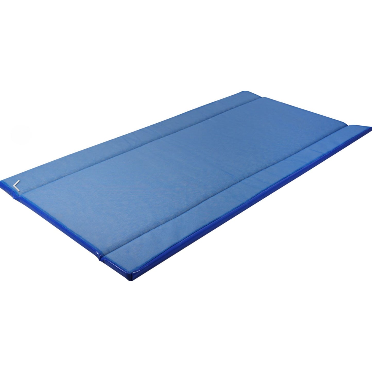 Tapis de désinfection pour camions et véhicules agricoles – Pédiluve biosécurité 120 cm